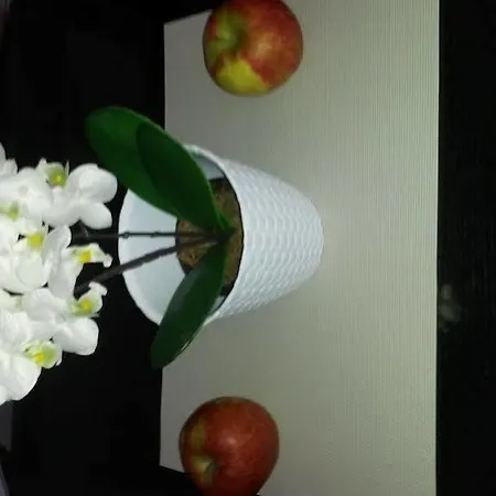 Apartment Near The Center Split